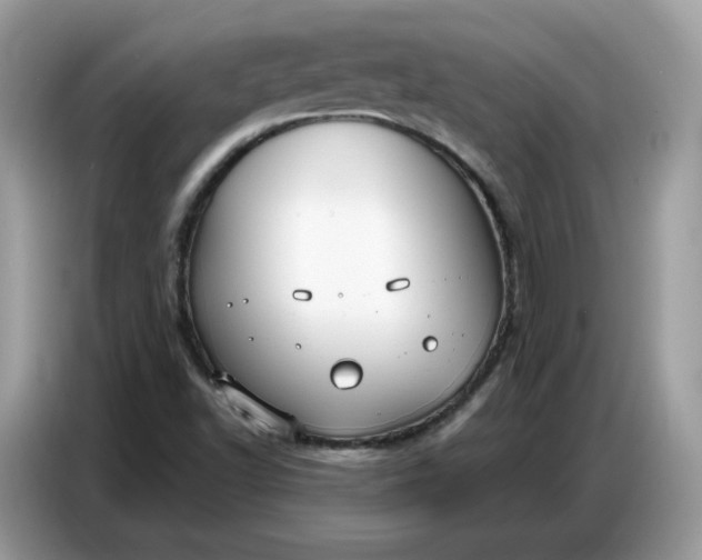 X0000086801502200704271840