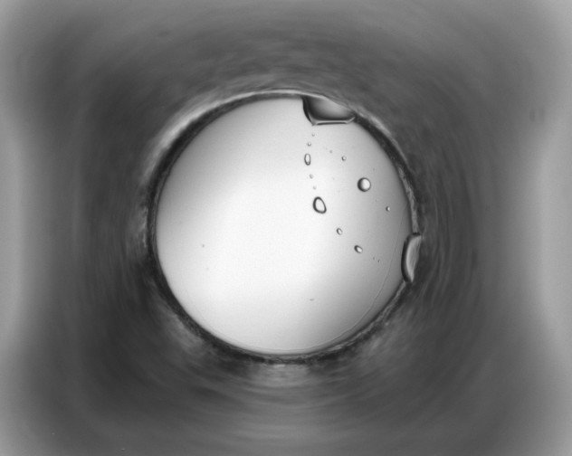 X0000086801503200704271840