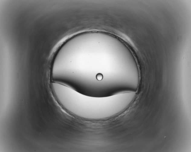 X0000086801504200704271840