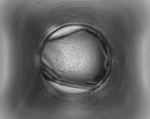 X0000086801505200704271840