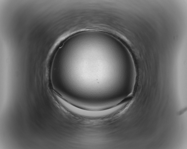 X0000086801506200704271840