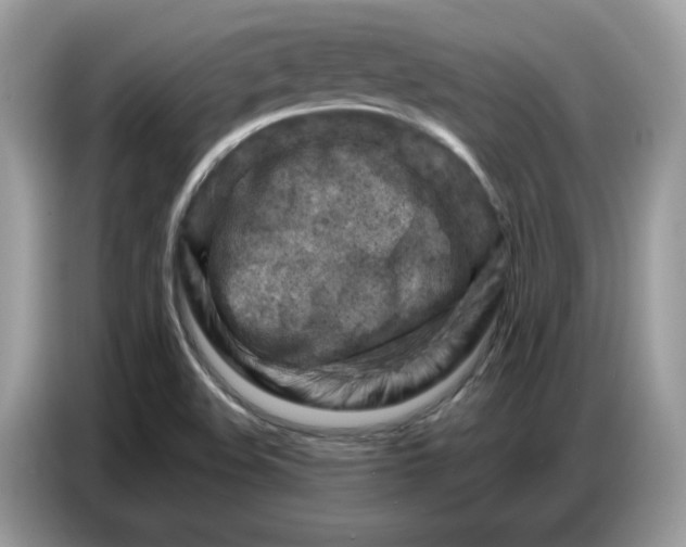 X0000086801508200704271840
