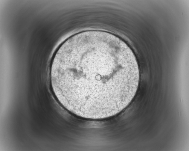 X0000086801514200704271840