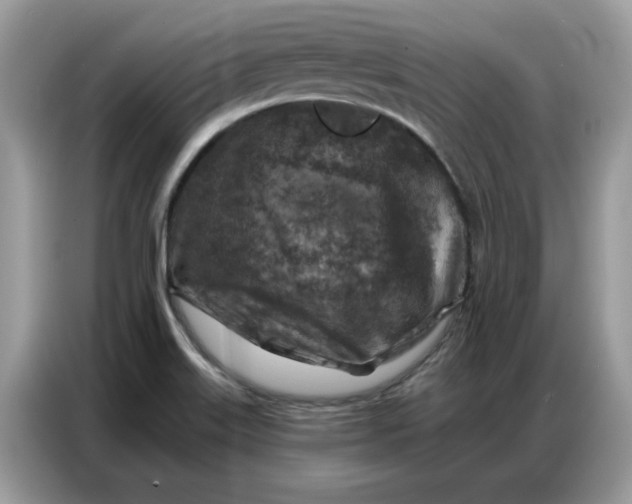 X0000086801515200704271840