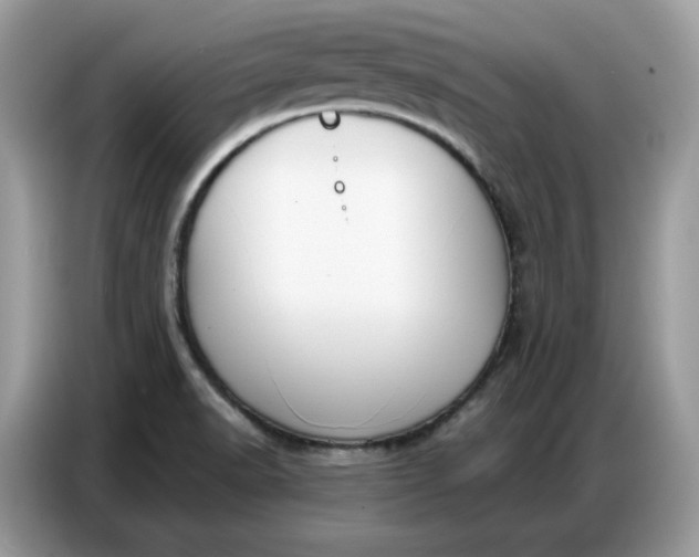 X0000086801518200704271840