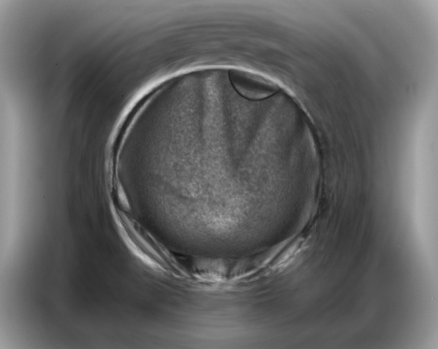 X0000086801519200704271840