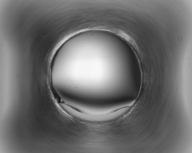 X0000086801520200704271840