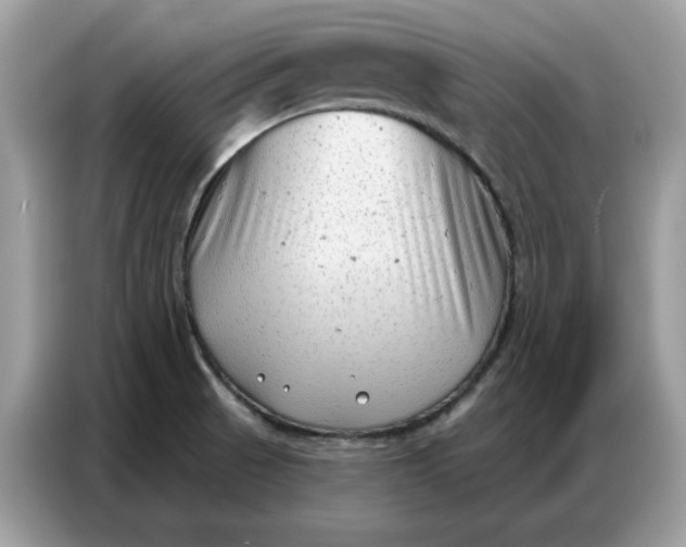 X0000086801521200704271840