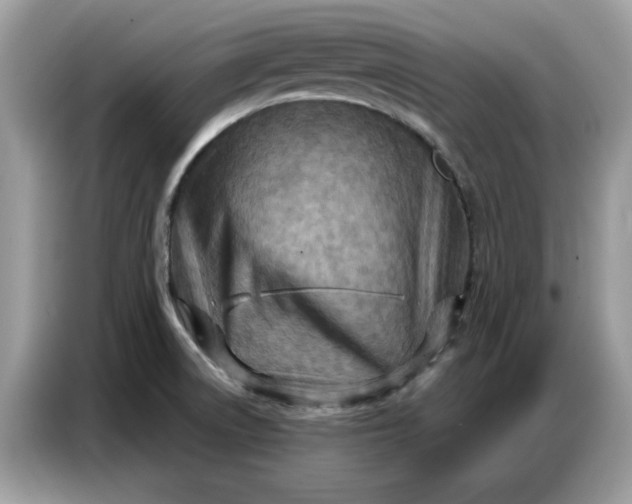 X0000086801522200704271840