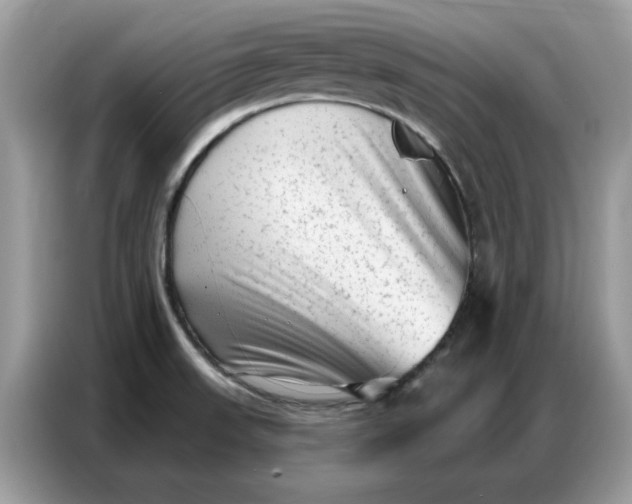 X0000086801523200704271840