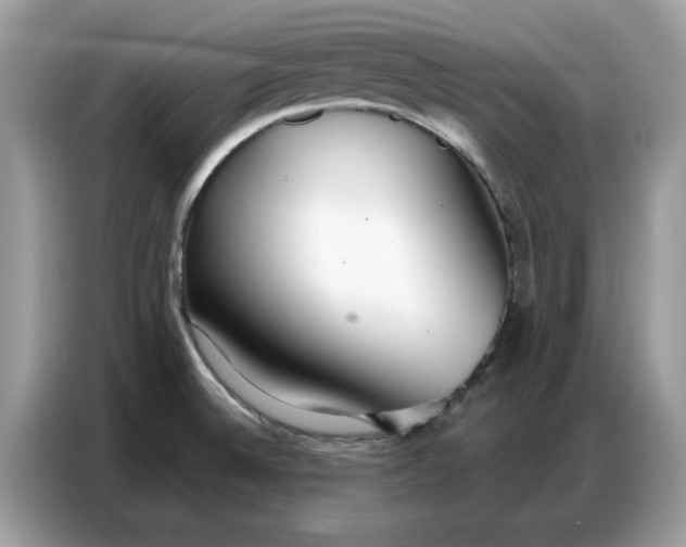 X0000086801524200704271840