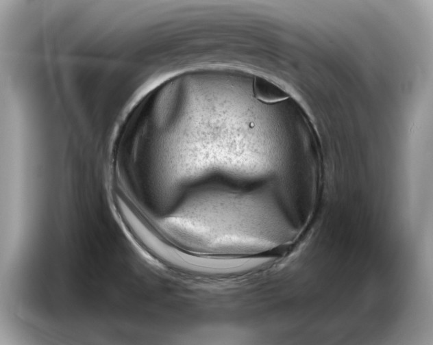 X0000086801525200704271840