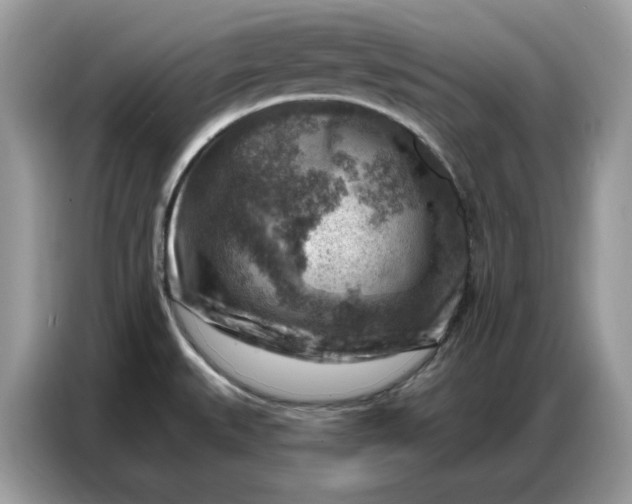 X0000086801527200704271840