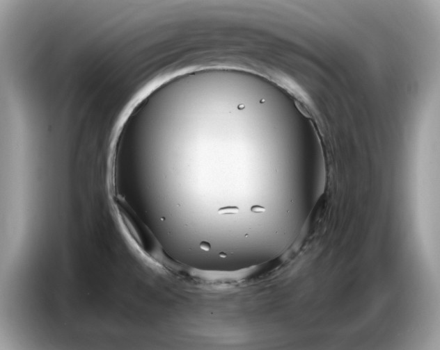 X0000086801528200704271840