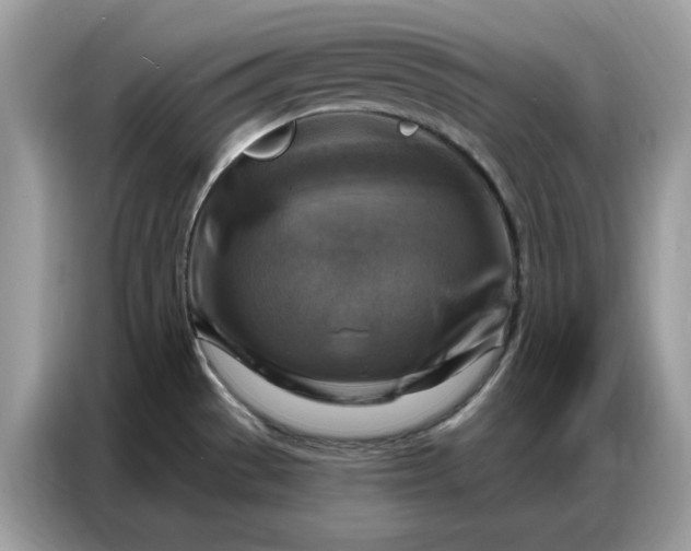 X0000086801529200704271840