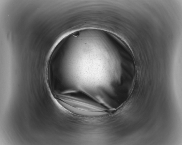 X0000086801531200704271840