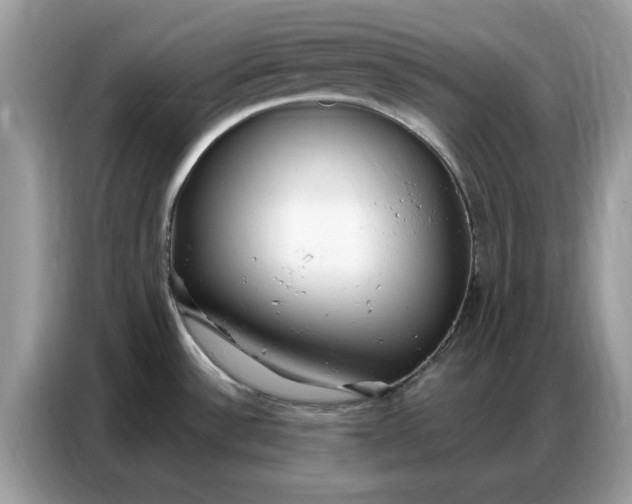 X0000086801532200704271840