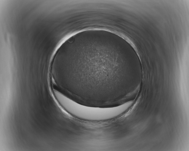 X0000086801533200704271840