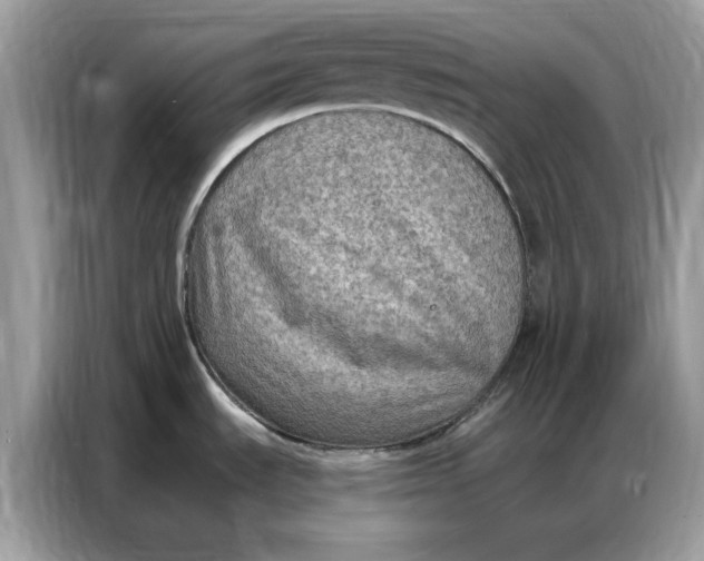 X0000086801535200704271840