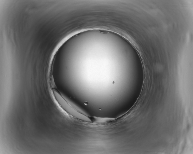 X0000086801536200704271840