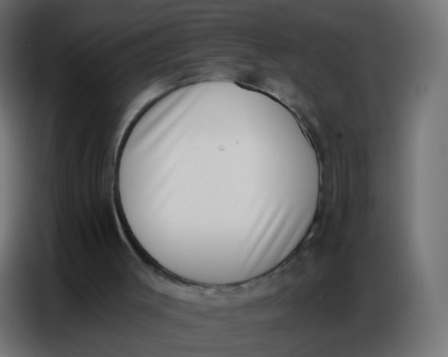 X0000086800003200705041617