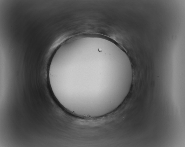 X0000086800005200705041617