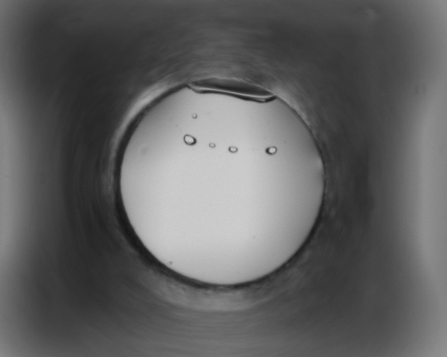 X0000086800008200705041617