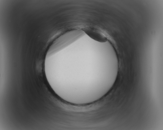 X0000086800010200705041617