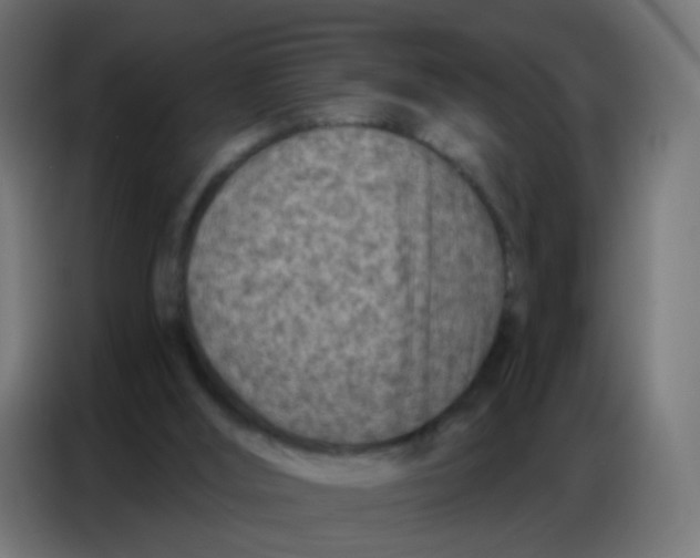 X0000086800012200705041617