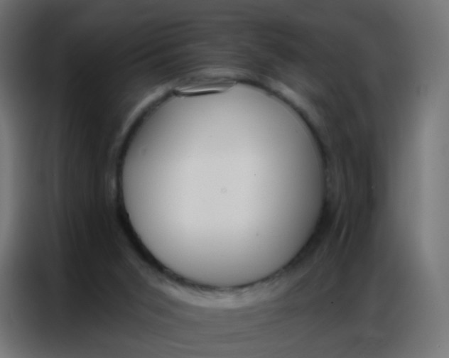 X0000086800015200705041617