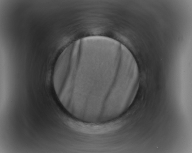 X0000086800018200705041617