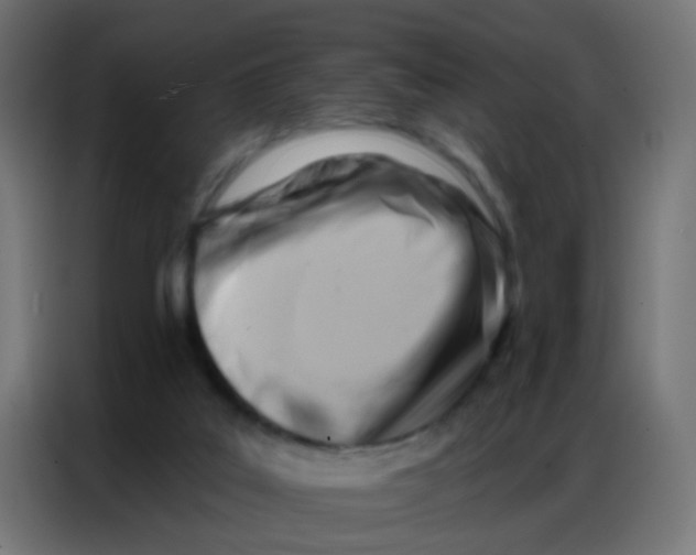 X0000086800019200705041617