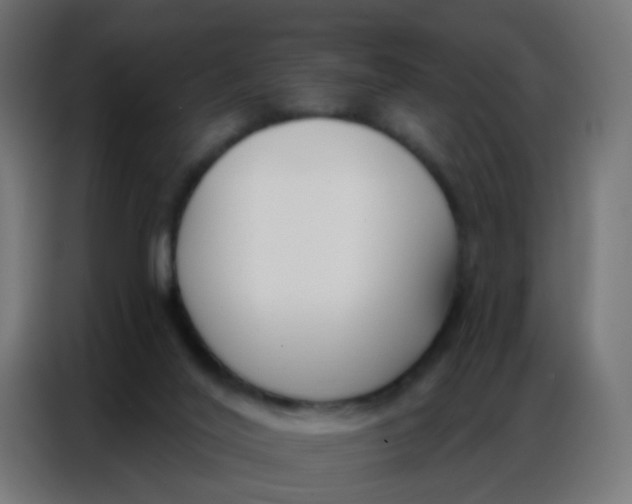 X0000086800020200705041617