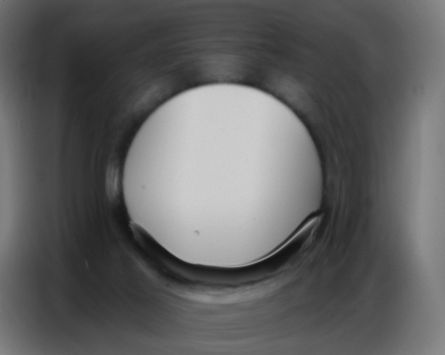 X0000086800021200705041617