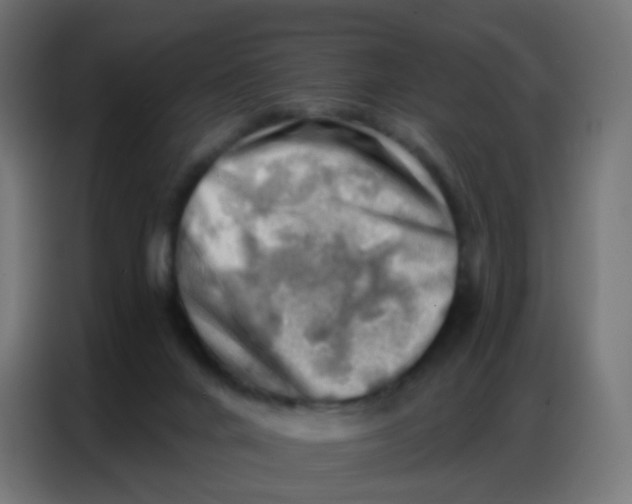 X0000086800024200705041617