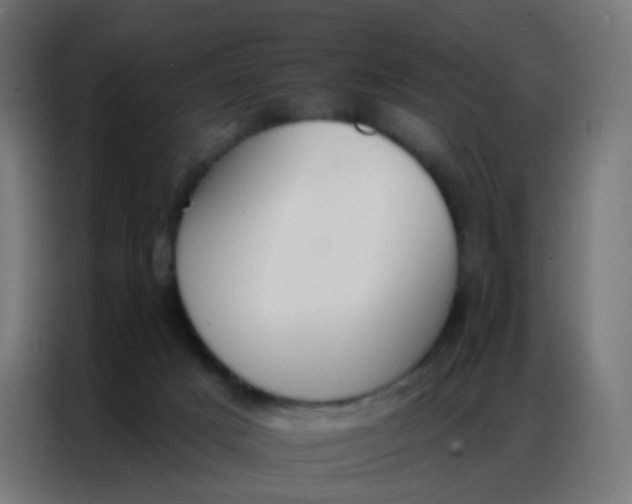 X0000086800025200705041617