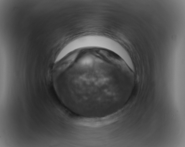 X0000086800029200705041617