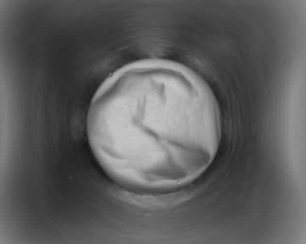 X0000086800030200705041617