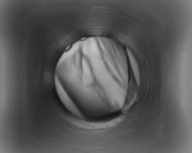 X0000086800031200705041617