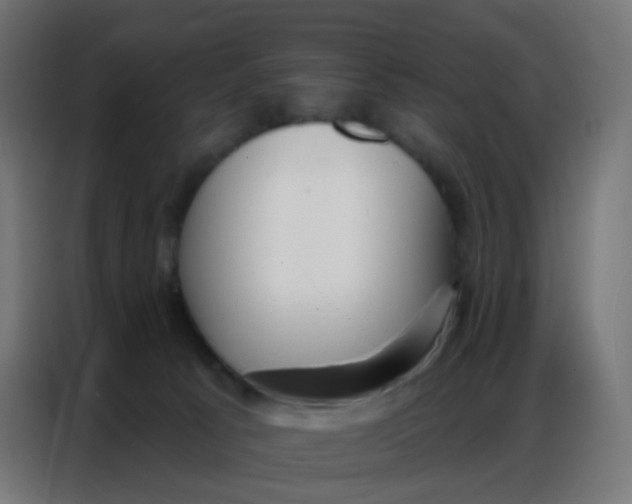 X0000086800033200705041617