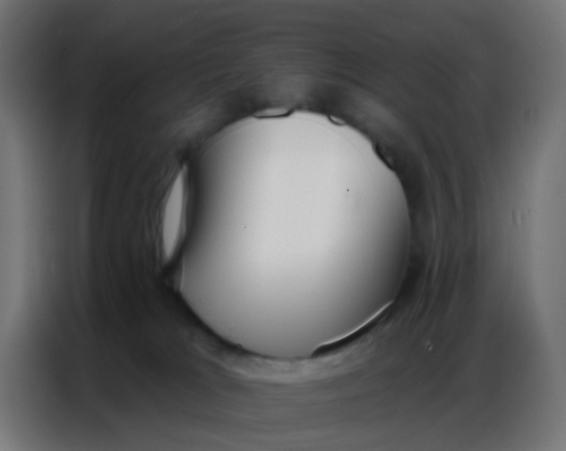 X0000086800037200705041617