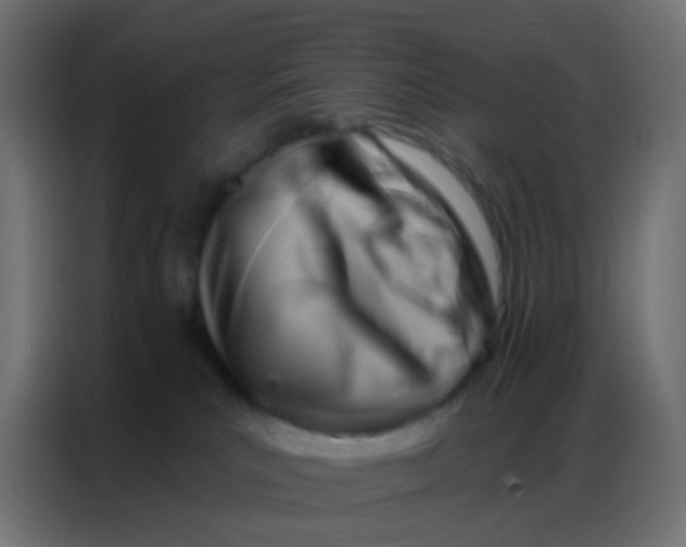 X0000086800039200705041617