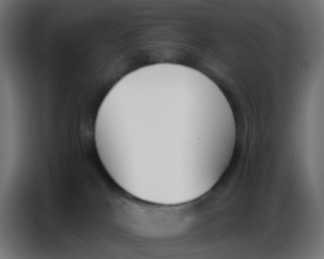 X0000086800040200705041617