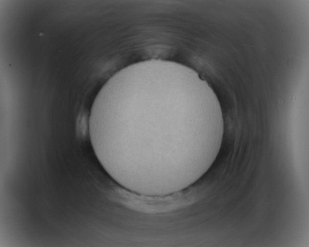 X0000086800042200705041617