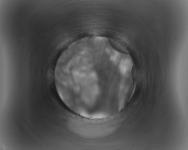 X0000086800043200705041617