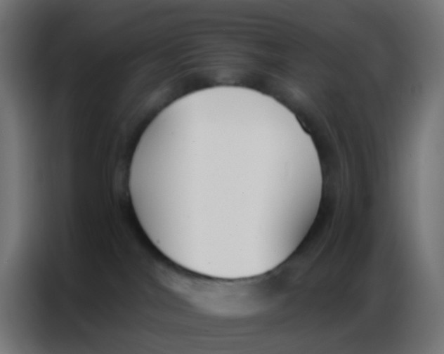 X0000086800044200705041617