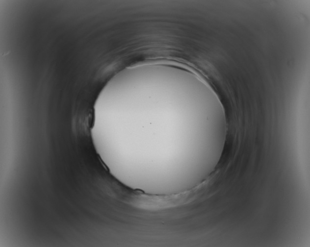 X0000086800045200705041617