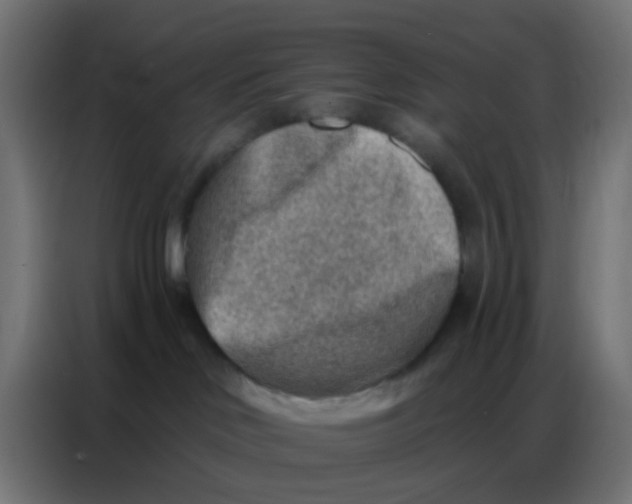 X0000086800046200705041617