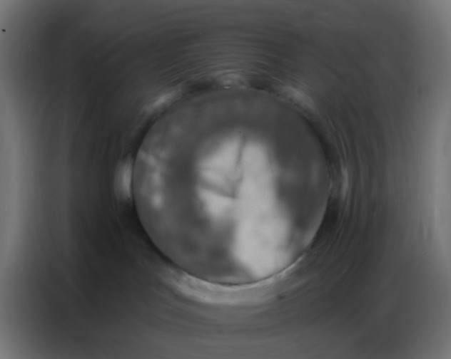 X0000086800047200705041617