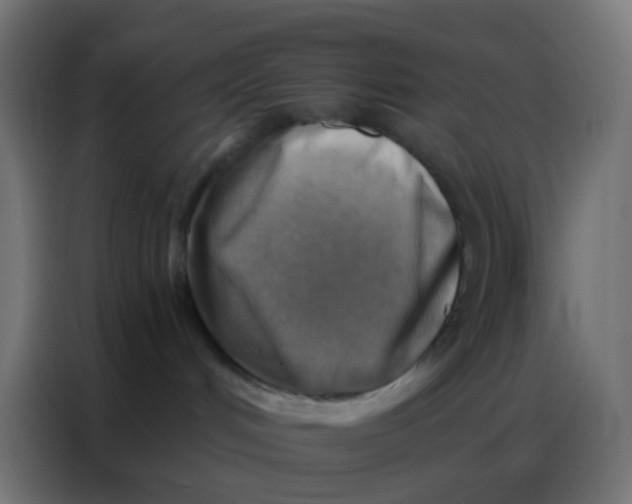 X0000086800048200705041617